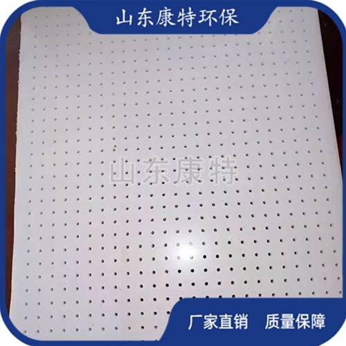 聚乙烯（pe板)異形件（jiàn）